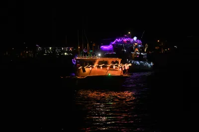 DSC_2517 (Large).JPG